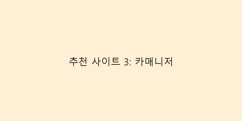 
  추천 사이트 3: 카매니저
 이미지