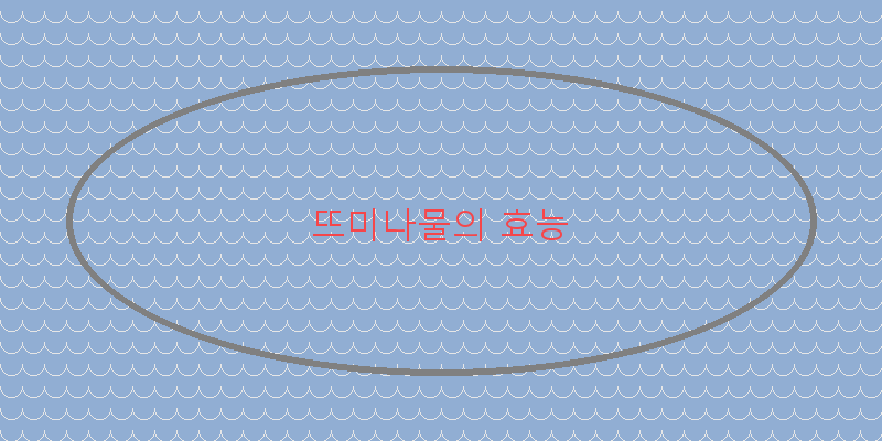 
  뜨미나물의 효능
 이미지