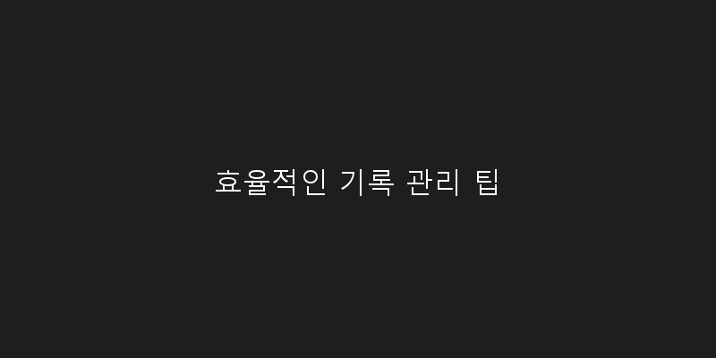 
  효율적인 기록 관리 팁
 이미지