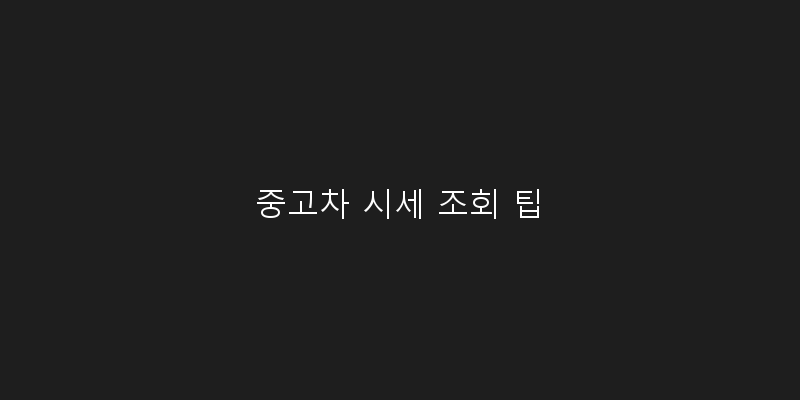 
  중고차 시세 조회 팁
 이미지