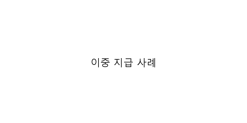 
  이중 지급 사례
 이미지