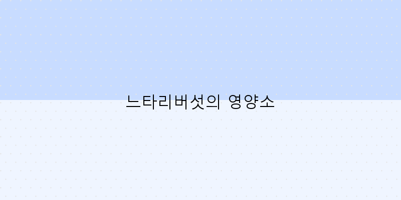 
  느타리버섯의 영양소
 이미지