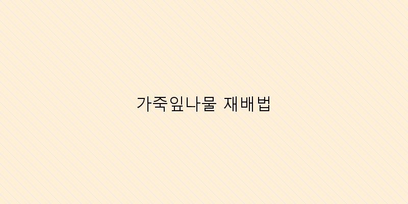 
  가죽잎나물 재배법
 이미지