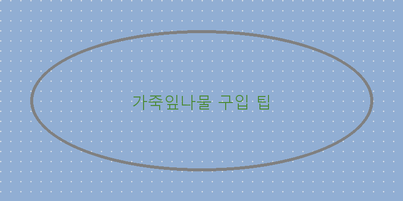 
  가죽잎나물 구입 팁
 이미지