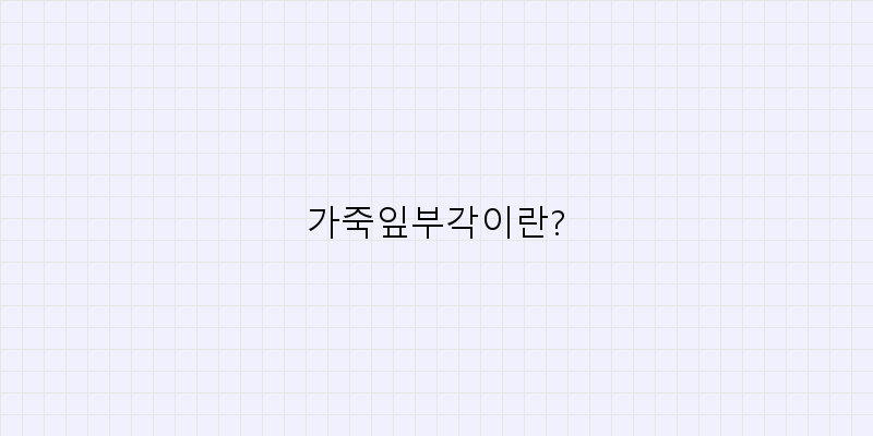 
  가죽잎부각이란?
 이미지