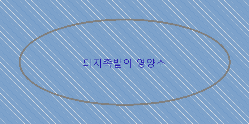 
  돼지족발의 영양소
 이미지