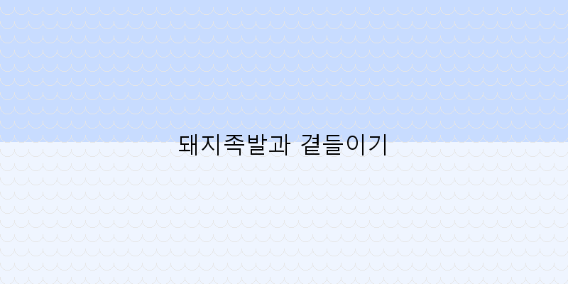 
  돼지족발과 곁들이기
 이미지