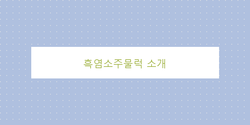
  흑염소주물럭 소개
 이미지