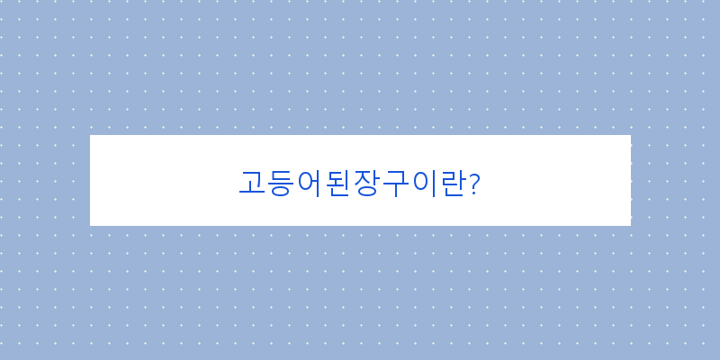 
  고등어된장구이란?
   이미지