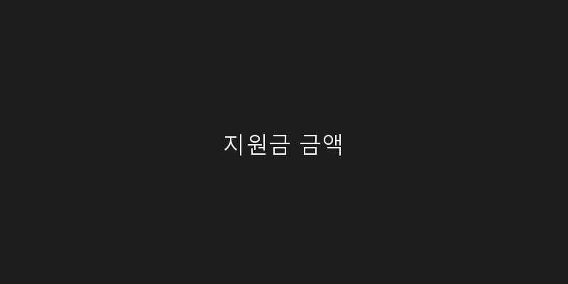 
  지원금 금액
 이미지